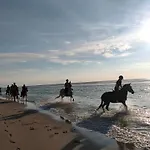 Le Mistral Berck