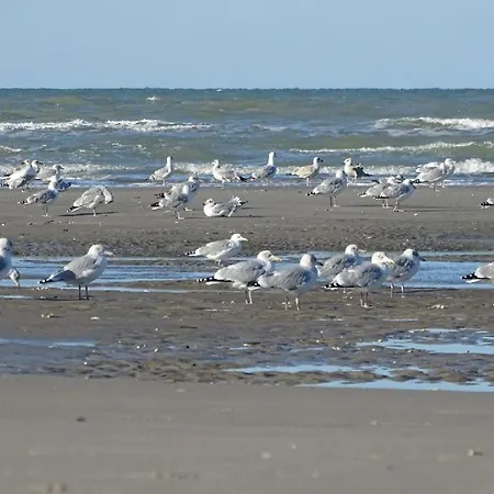 Le Mistral 아파트