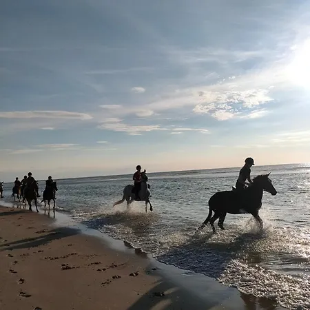 Le Mistral Berck
