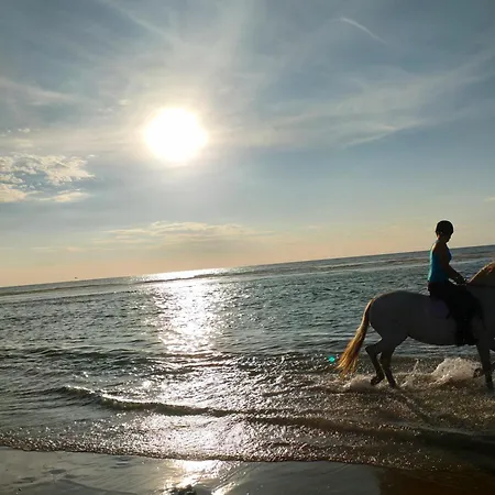 아파트 Le Mistral Berck