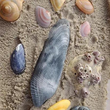 아파트 Le Mistral Berck