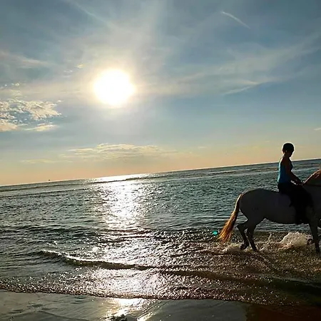 شقة Le Mistral Berck