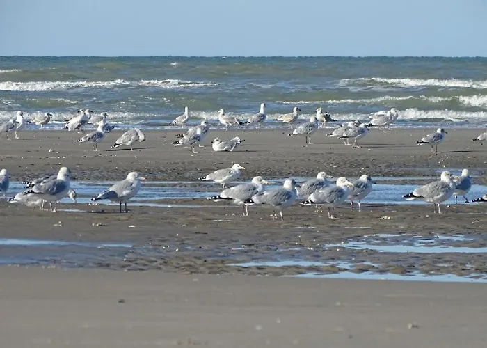 Le Mistral アパート