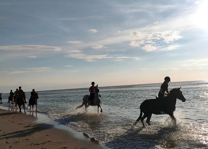 Le Mistral Berck