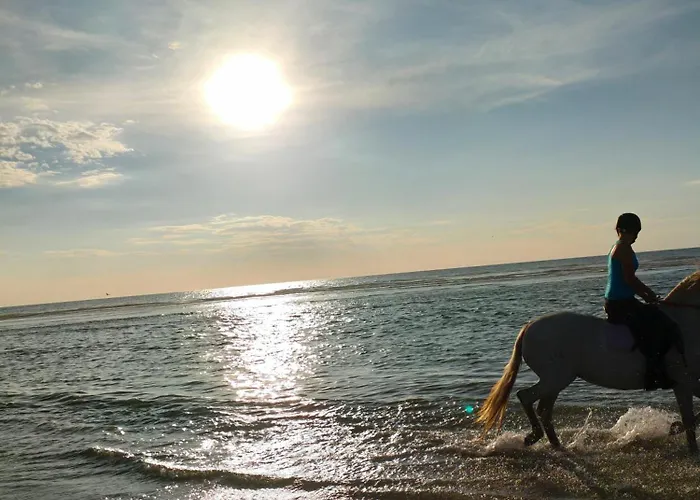 アパート Le Mistral Berck