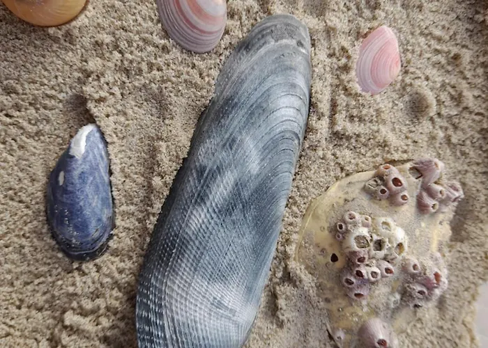 アパート Le Mistral Berck